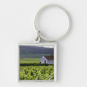 Chambertin Clos de Beze Grand Cru vineyard with Keychain