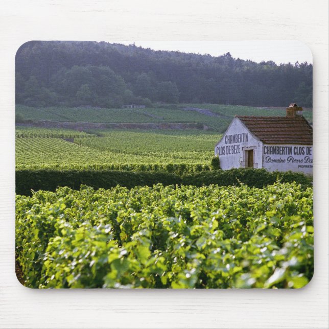 Chambertin Clos de Beze Grand Cru vineyard with Mouse Pad (Front)