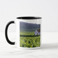 Chambertin Clos de Beze Grand Cru vineyard with