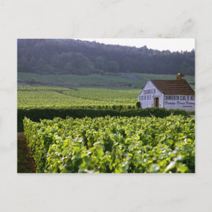 Chambertin Clos de Beze Grand Cru vineyard with Postcard