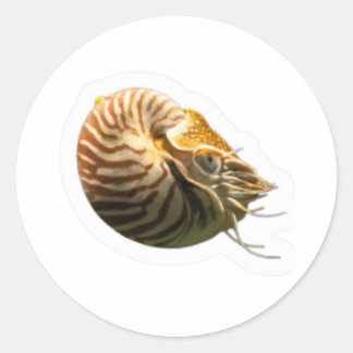 Chambre Mystique Autocollant de Nautilus, Vivant