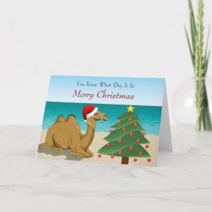 Chameau de la Journée avec la carte de Noël de San