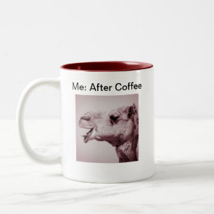 Chameau heureux avant et après la tasse