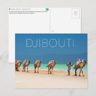 Chameaux au lac Assal, Djibouti Carte postale de v