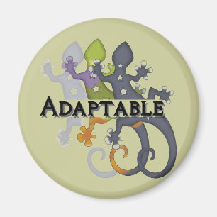 Chameleon Adaptable Magnet