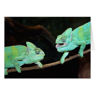 Chameleon Card