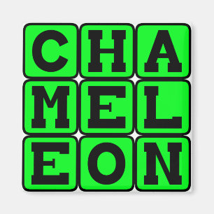 Chameleon, Colour-Changing Lizard Magnet