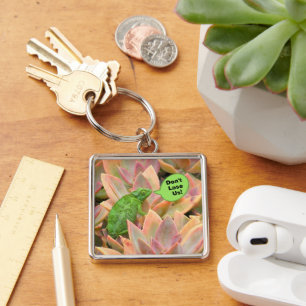 CHAMELEON, "Don't Lose Us" Keychain