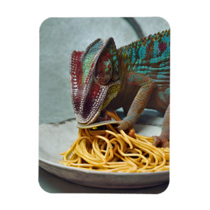 Chameleon Eating Spaghetti Magnet