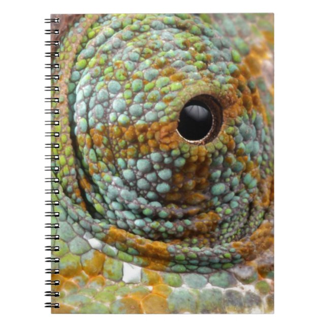 Chameleon Eye Mod Stylish Animal Notebook (Front)