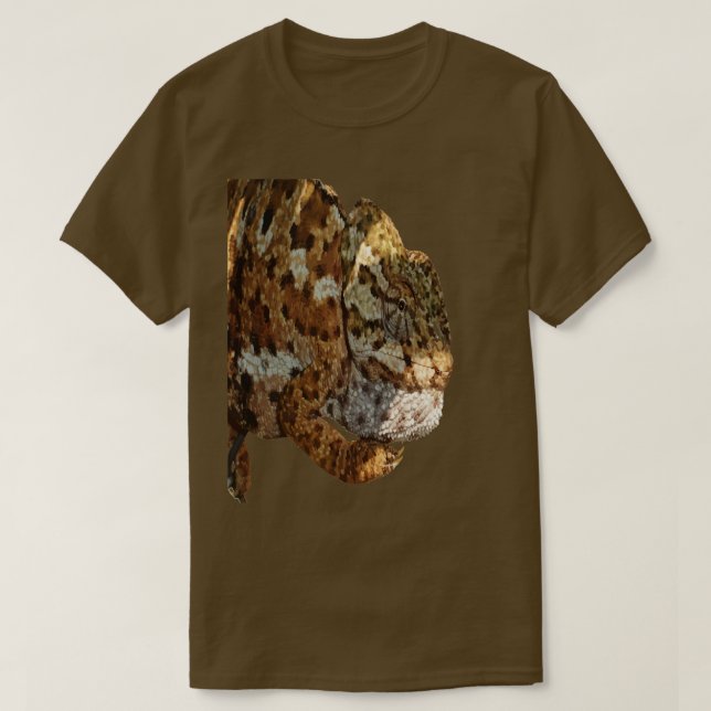 Chameleon Hanging On A Wire Fence Vector Cut Out T-Shirt (Design Front)