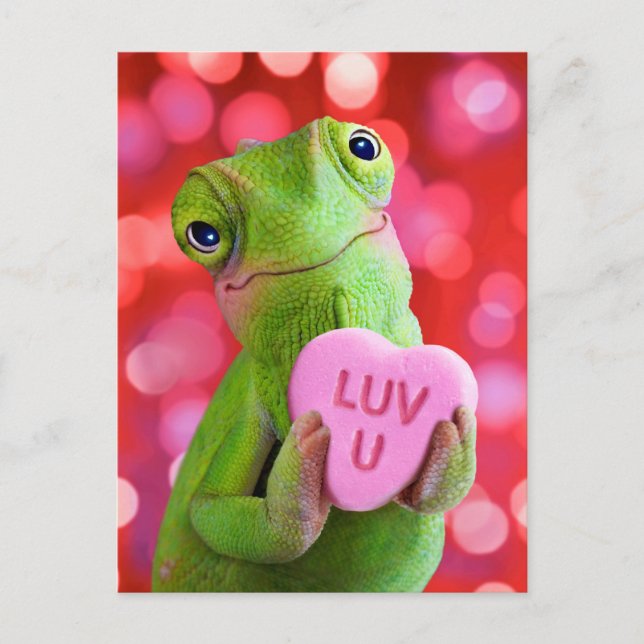 Chameleon Heart (Luv U) Invitation Postcard (Front)