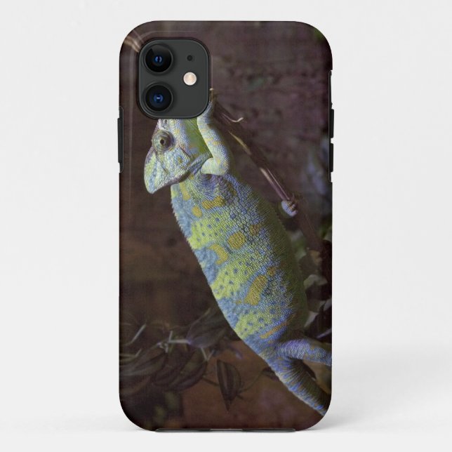 Chameleon iPhone 5 Case-Mate Case (Back)