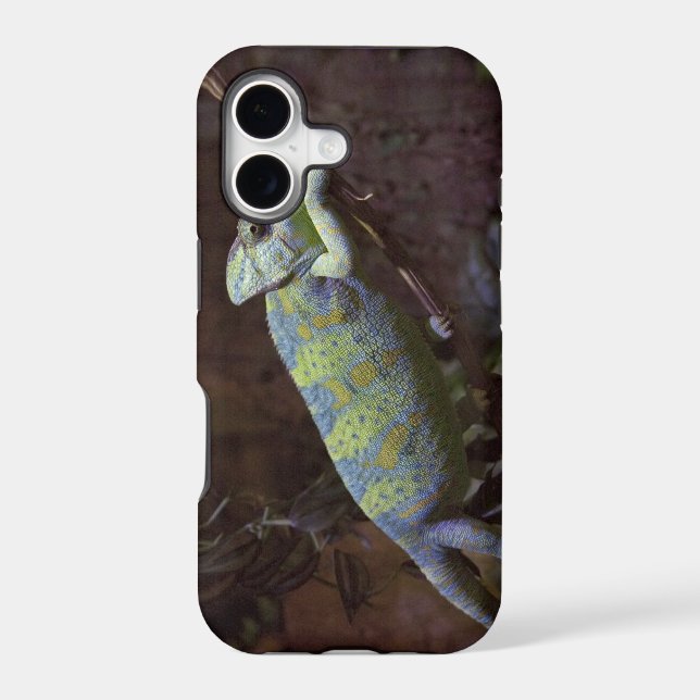 Chameleon iPhone 5 Case-Mate Case (Back)