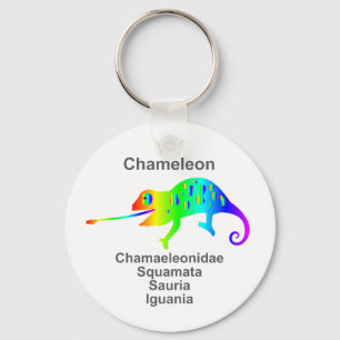 Chameleon Keychain