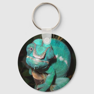 Chameleon Keychain