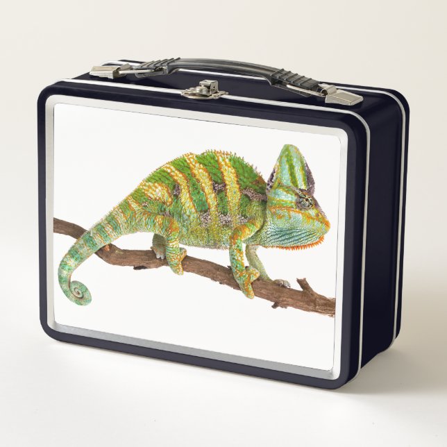 Chameleon Metal Lunch Box (Front)