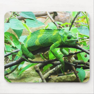 Chameleon Mouse Pad