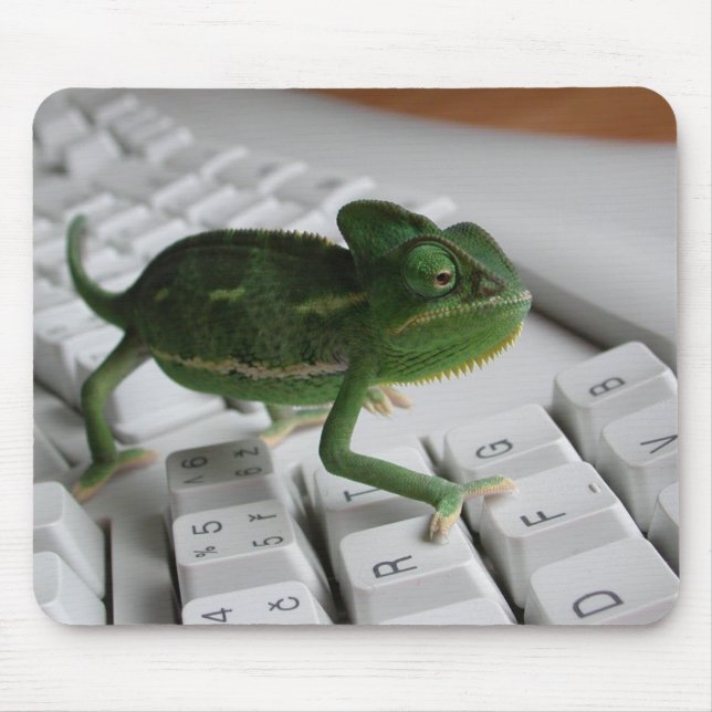 Chameleon on Keyboard Mouse Pad (Front)