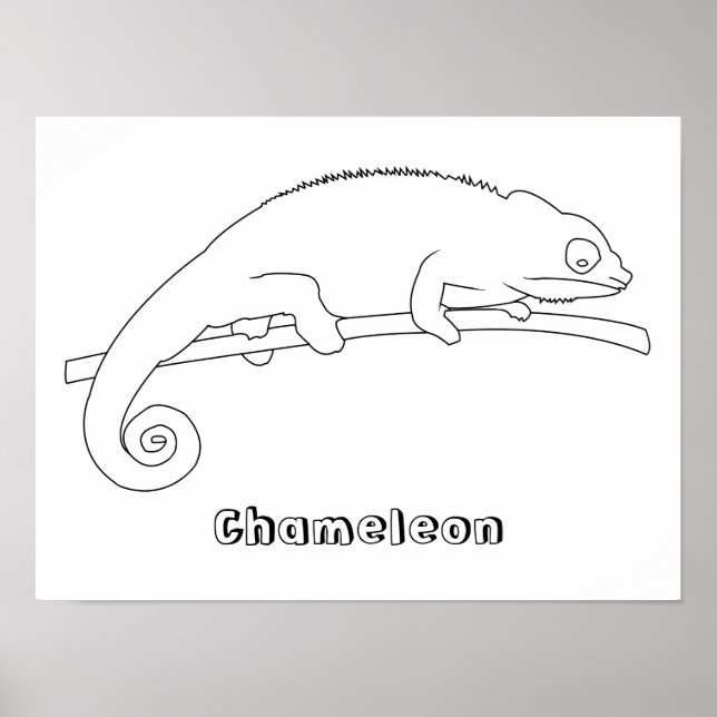 Chameleon Outline Drawing Posters (Front)