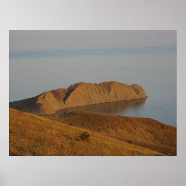 Chameleon Poster (Front)