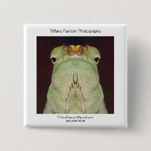 Chameleon Promo Piece 2 Inch Square Button