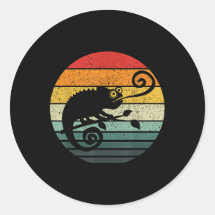 Chameleon Retro Sunset Vintage Design  Classic Round Sticker