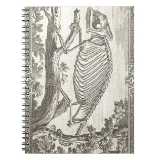 Chameleon Skeleton Illustration Notebook