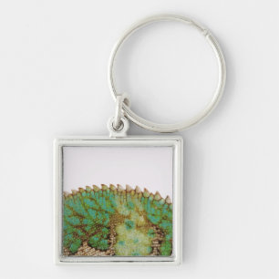 Chameleon skin change keychain