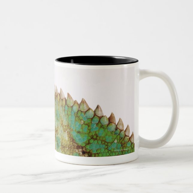 Chameleon skin change Two-Tone coffee mug (Right)