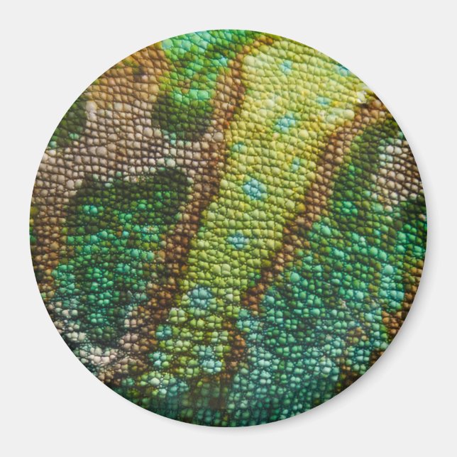 Chameleon Skin Texture Template Magnet (Front)