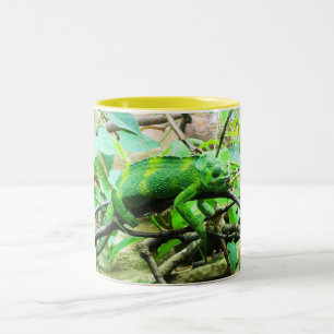 Chameleon Two-Tone Coffee Mug