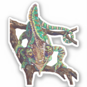 Chameleon Vinyl Sticker