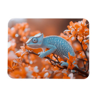 Chameleon Wild Animal Portrait Natural Environment Magnet
