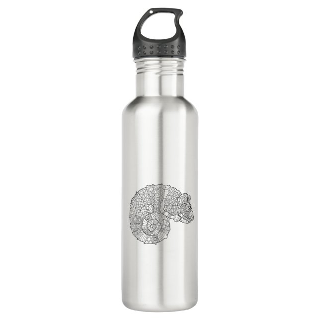 Chameleon Zendoodle 710 Ml Water Bottle (Front)