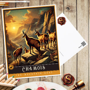 Chamois   Cute Family Vintage Animal Postcard