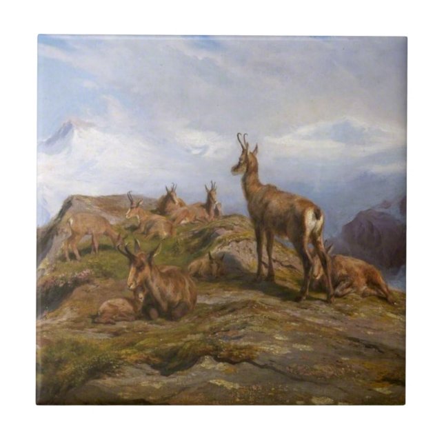 Chamois Goats in the French Alps Mountain Range Tile (Front)