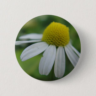 chamomile 2 inch round button