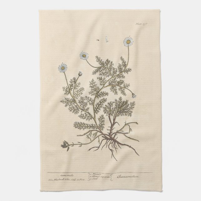 Chamomile by Elizabeth Blackwell Kitchen Towel (Vertical)