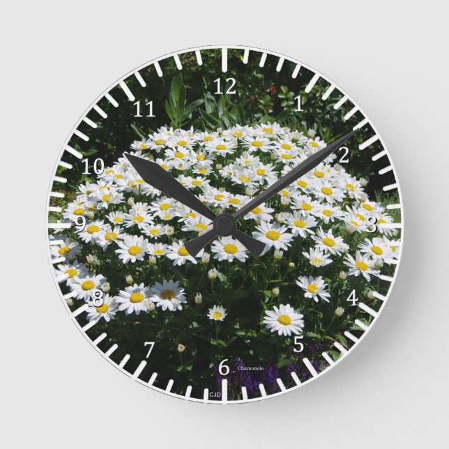 Chamomile clock (Front)