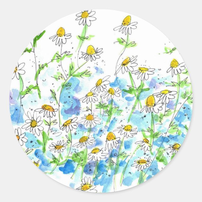 Chamomile Daisy Garden Herb Watercolor Classic Round Sticker (Front)