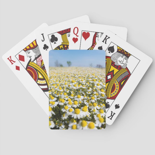 Chamomile Field, Hungary Playing Cards (Back)