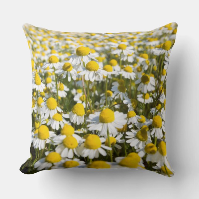 Chamomile Field, Hungary Throw Pillow (Front)