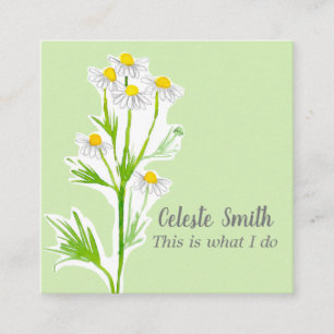 Chamomile Flower Herb Plant Illustration Green Square Business Card