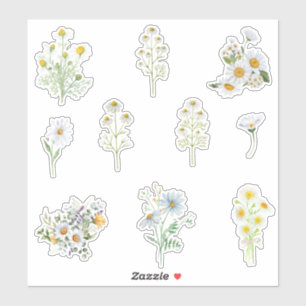 Chamomile Flowers