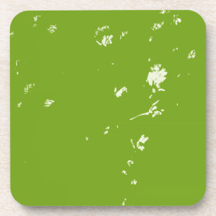 chamomile flowers on green coaster