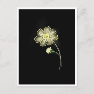 Chamomile Glow  Postcard