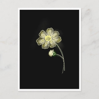 Chamomile Glow Postcard