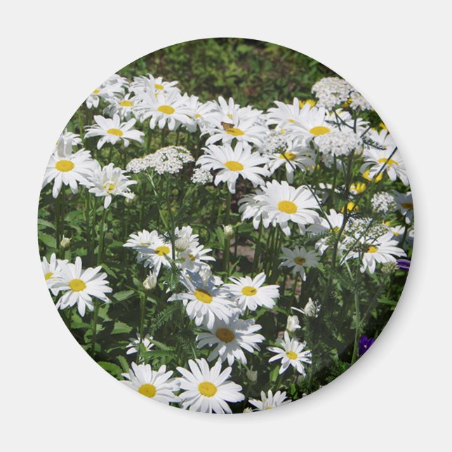 Chamomile magnet (Front)