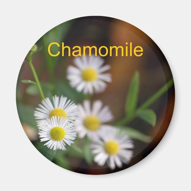 Chamomile magnet (Front)